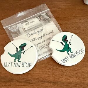 Dinosaur Themed Car Coasters